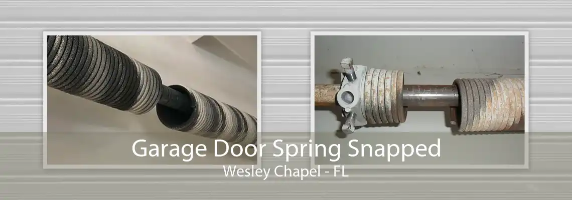 Garage Door Spring Snapped Wesley Chapel - FL