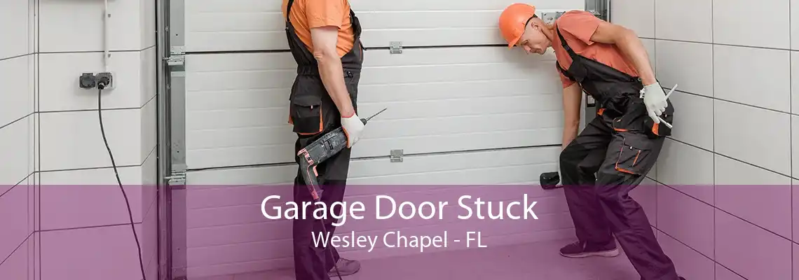 Garage Door Stuck Wesley Chapel - FL