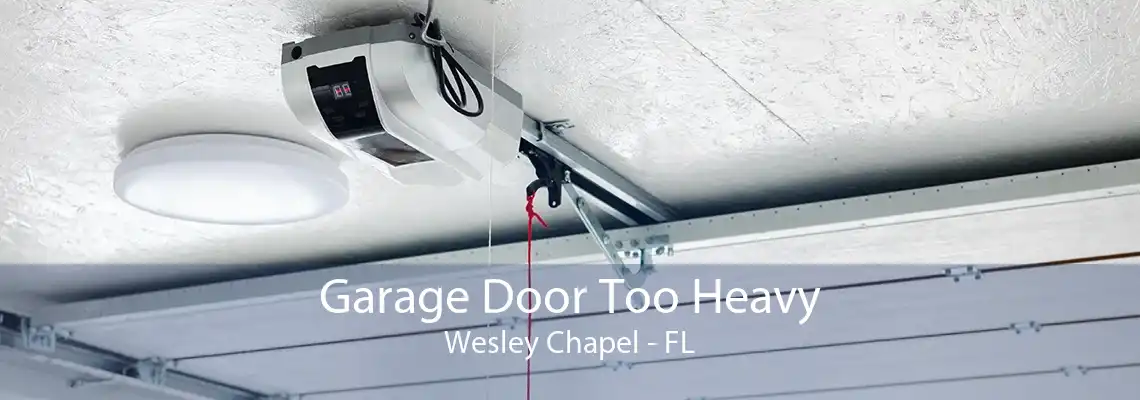 Garage Door Too Heavy Wesley Chapel - FL