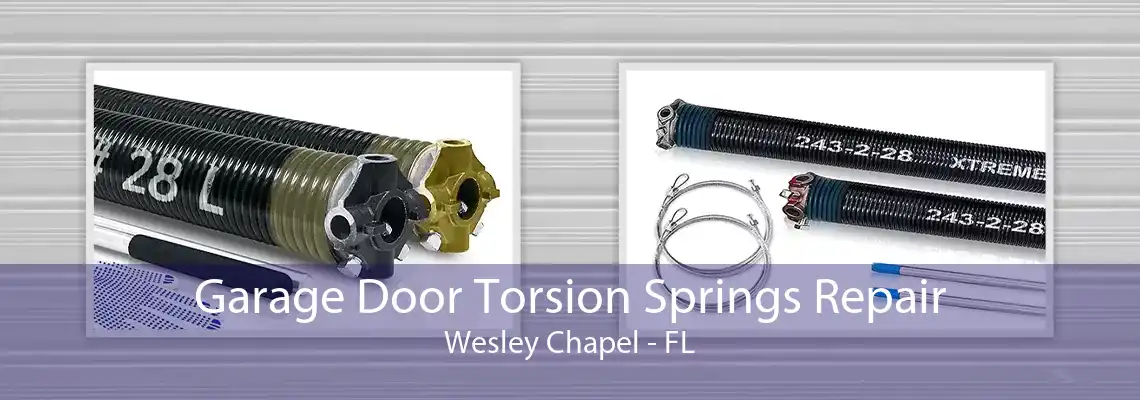 Garage Door Torsion Springs Repair Wesley Chapel - FL