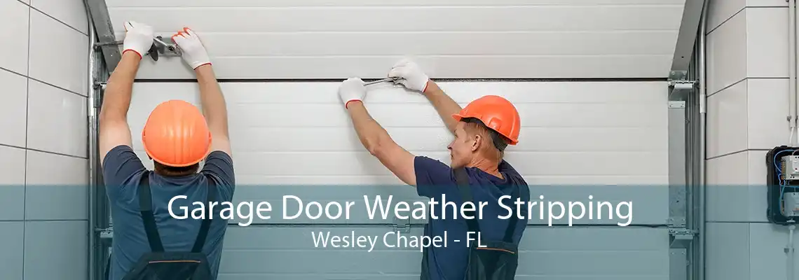 Garage Door Weather Stripping Wesley Chapel - FL