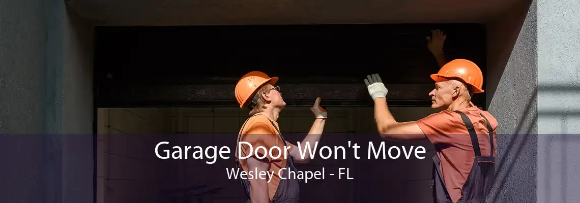 Garage Door Won't Move Wesley Chapel - FL