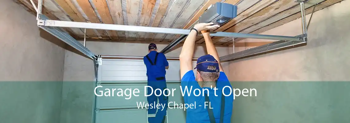 Garage Door Won't Open Wesley Chapel - FL