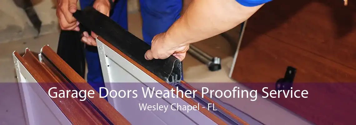 Garage Doors Weather Proofing Service Wesley Chapel - FL