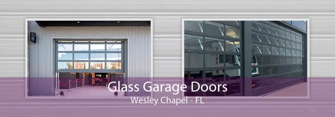 Glass Garage Doors Wesley Chapel - FL