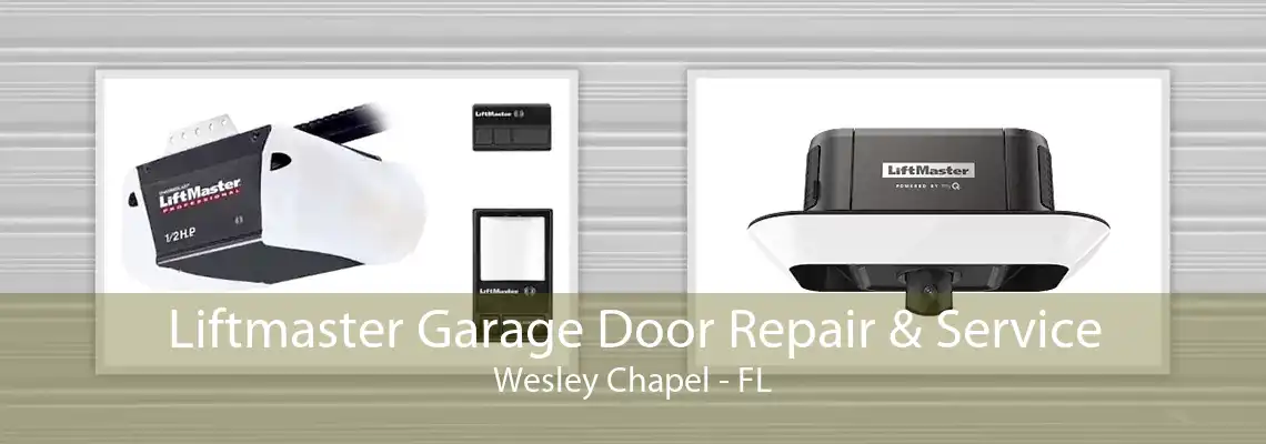 Liftmaster Garage Door Repair & Service Wesley Chapel - FL