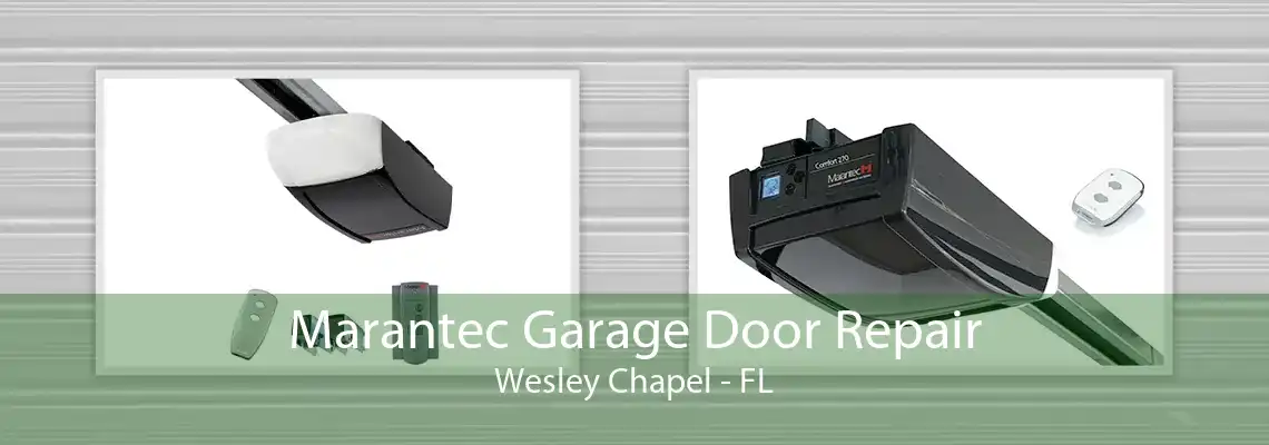 Marantec Garage Door Repair Wesley Chapel - FL