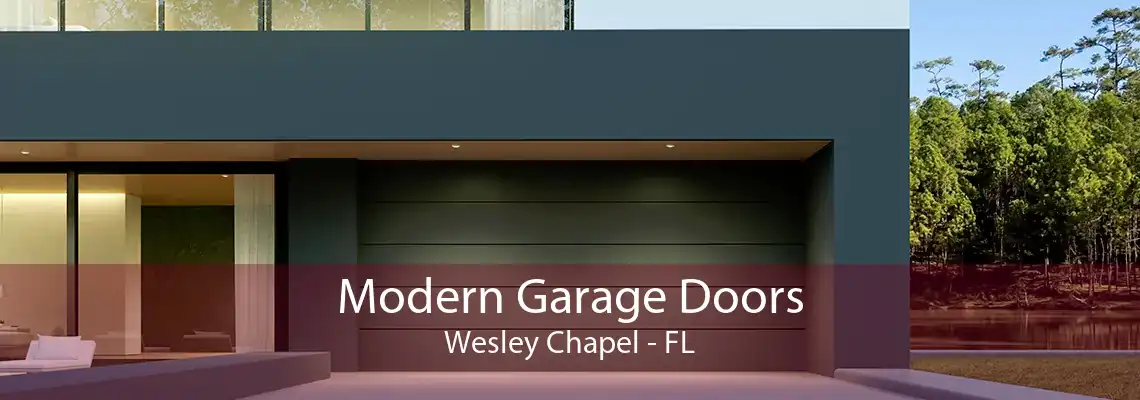 Modern Garage Doors Wesley Chapel - FL