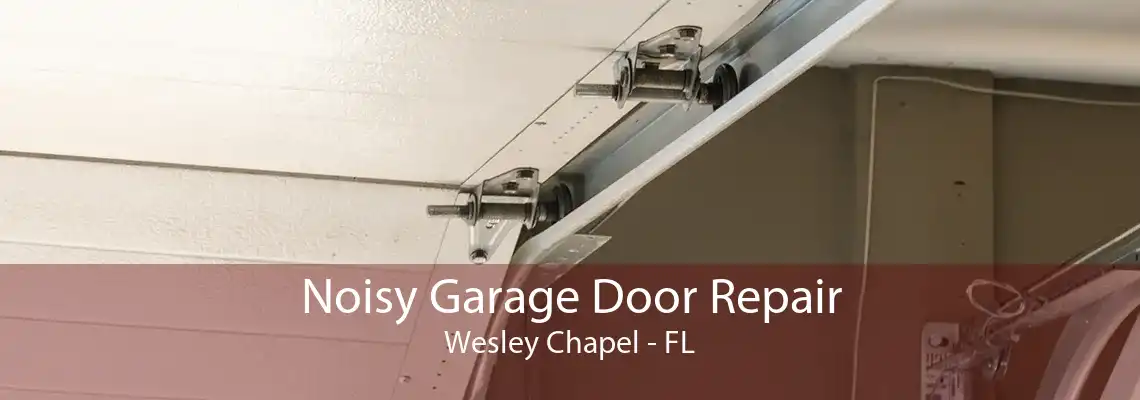 Noisy Garage Door Repair Wesley Chapel - FL