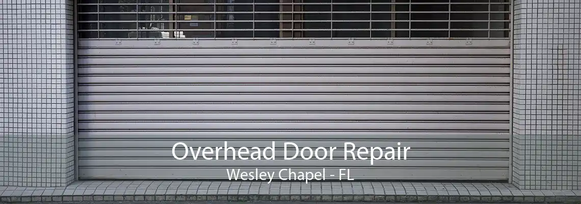 Overhead Door Repair Wesley Chapel - FL