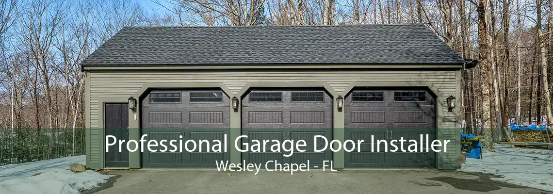 Professional Garage Door Installer Wesley Chapel - FL