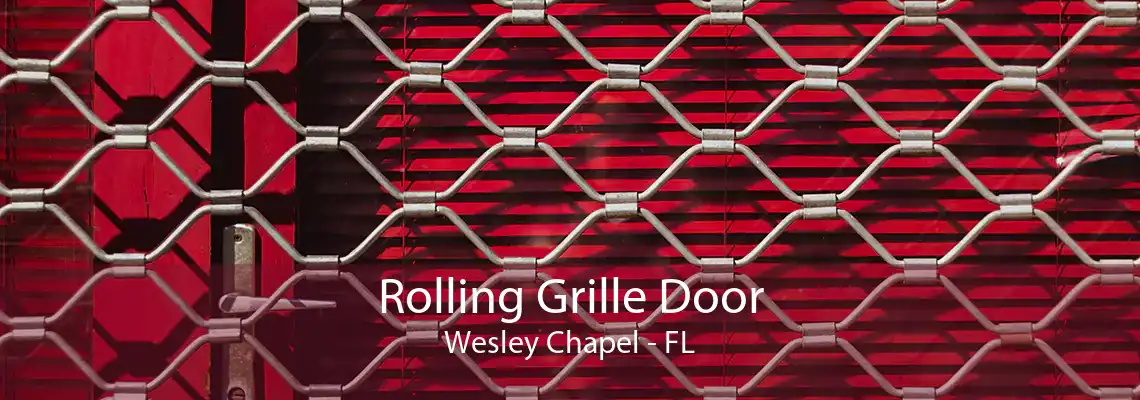 Rolling Grille Door Wesley Chapel - FL