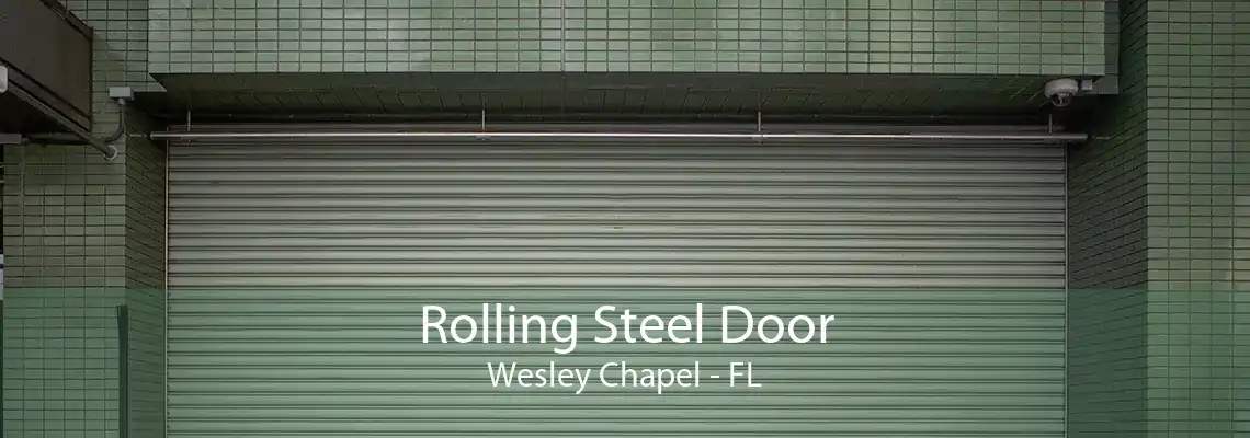 Rolling Steel Door Wesley Chapel - FL