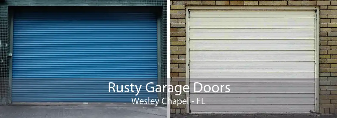 Rusty Garage Doors Wesley Chapel - FL