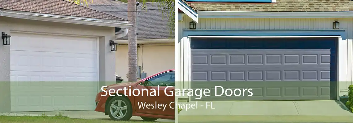 Sectional Garage Doors Wesley Chapel - FL